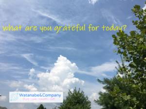 what are you grateful for today?
