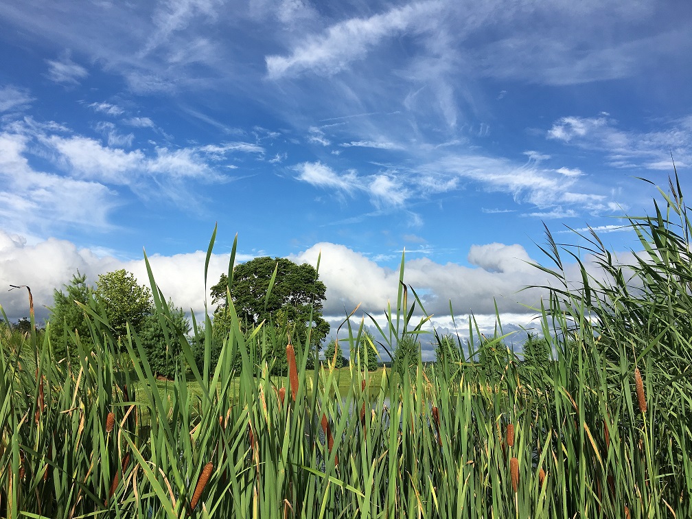 Salisbury-Blue-Sky-2018.jpg