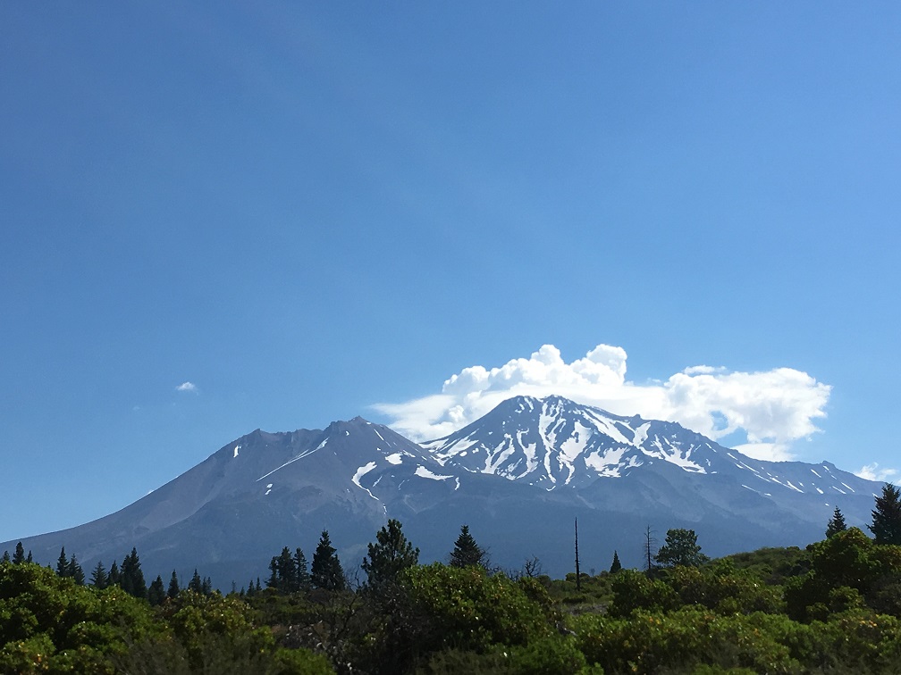 shasta-size.jpg